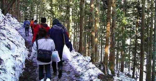 The path to Jigokudani Monkey Park